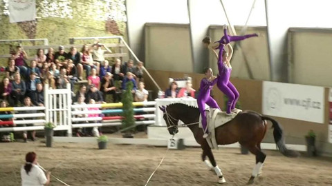 Jezdectví - Mezinárodní závody ve voltiži CVI Frenštát pod Radhoštěm