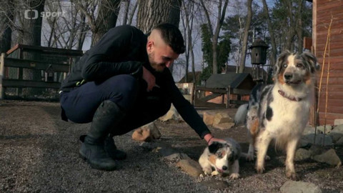 Studio fotbal - Extra