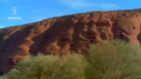 Nedej se! - Výroční Al Gore