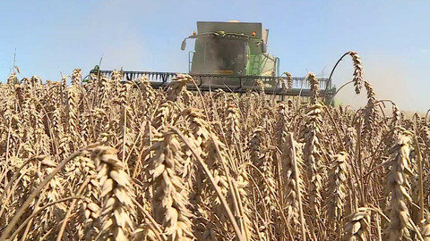 Týden v regionech (Ostrava) - 30. srpna