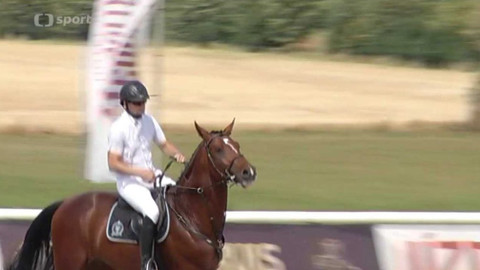 Jezdectví - Martinický šampionát mladých koní, Martinice