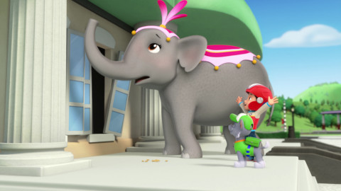 Tlapková patrola - Tlapky zachraňují cirkus / Tlapky a slepičí úlet