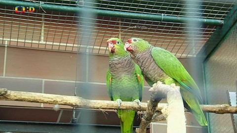 Terčin zvířecí svět - 19. září