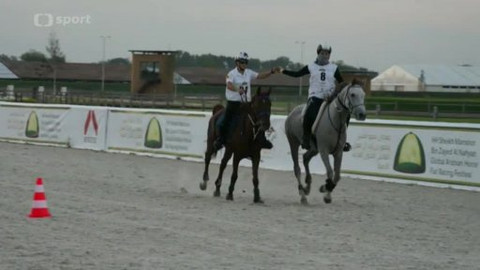 Jezdectví - MS mladých koní ve vytrvalosti 2014 Slovensko