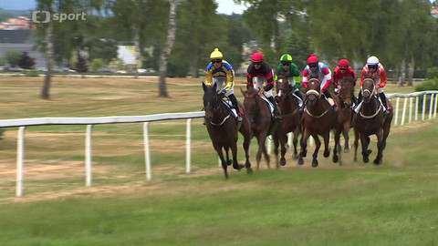 Koně a sport - 10. července