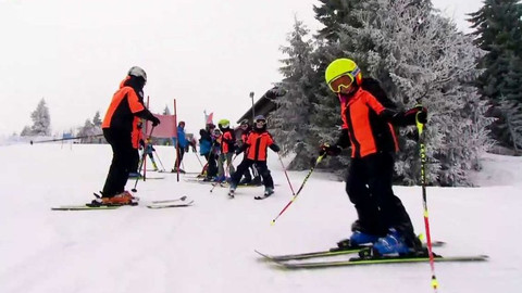 Lvíčata - 27. ledna 2018