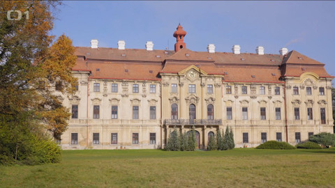 Toulavá kamera - 22. listopadu 2020