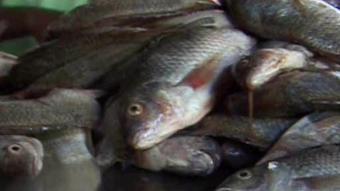 Přidej se - Afrika II.