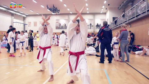 Lvíčata - 9. prosince 2017