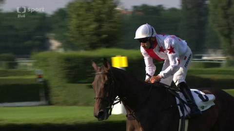 Dostihy - Pardubické rovinové dostihy