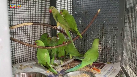 Zprávičky - 12. května 2022