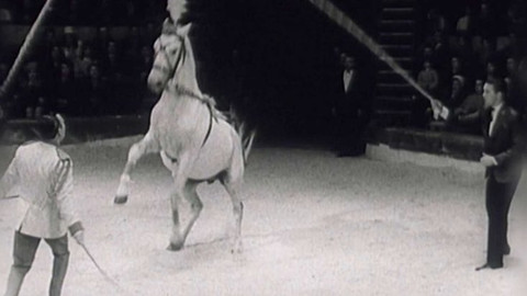 Archiv ČT24 - Hvězdy manéže