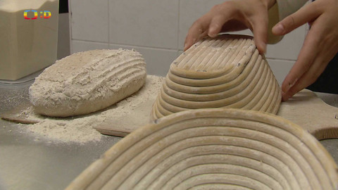 Zprávičky - 16. července 2024