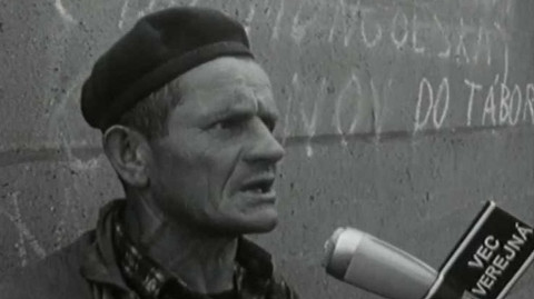 Věc veřejná - Češi a Slováci