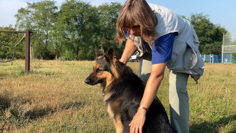 Chcete mě? - 4. října 2020