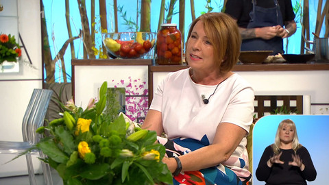 Sama doma - 17. září 2020