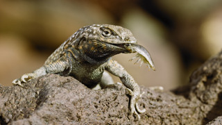 Andy a cesta kolem světa