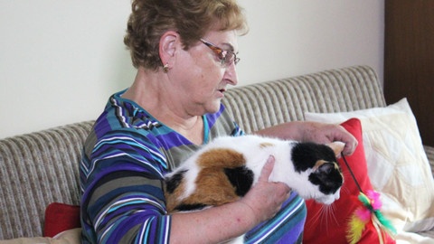 Kočka není pes - Vystresovaný Sam a oddaná Dežka