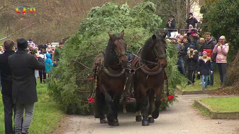 Zprávičky - 21. listopadu 2021