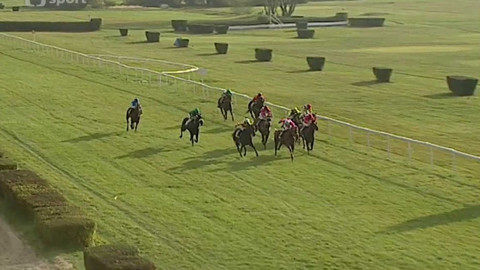 Turf - 4. listopadu 2015