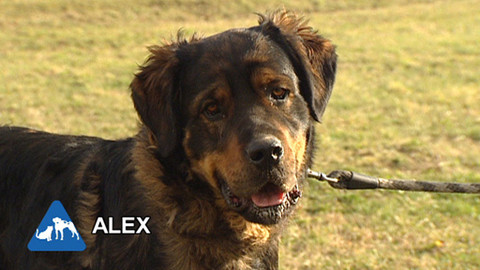 Chcete mě? - Chcete je?