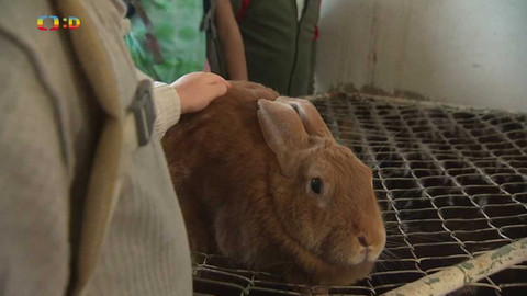 Zprávičky - 16. září 2022