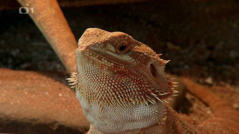 Polopatě - 21. května 2023