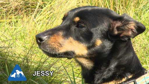 Chcete mě? - Chcete je?