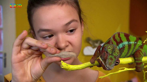 Terčin zvířecí svět - 23. února 2018