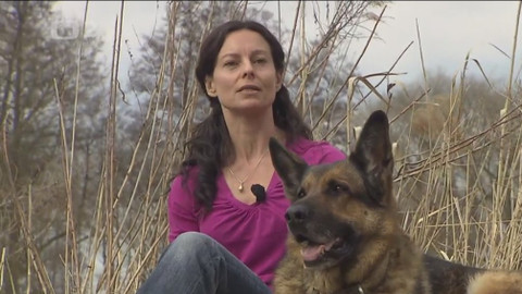 Chcete mě? - 25. června 2017