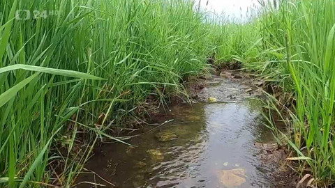 Regiony ČT24 - 28. května 2022