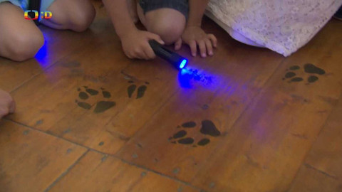 Zprávičky - 25. července 2023