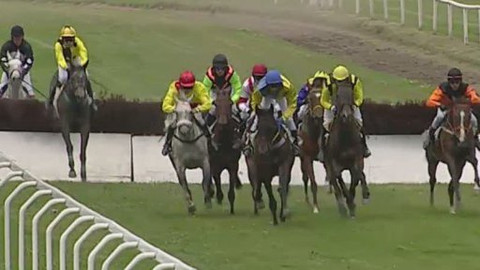 Jezdectví - Zlatý pohár