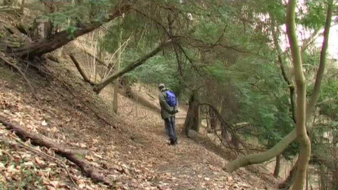 Živé srdce Evropy - Tisy U Eremita