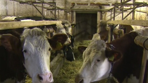 Studio ČT24 - 2. listopadu 2016 11:32