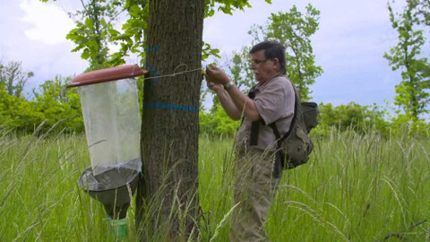 Náš venkov - Kdo zachrání obecní lesy?