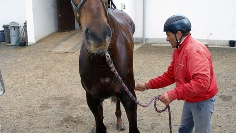 13. komnata - 13. komnata Josefa Váni