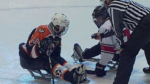 Hokej - SHK LAPP Zlín – FIFH Malmö