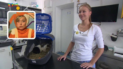 Telefon - 21. října 2016