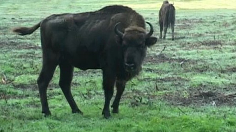 Tisíc let české myslivosti - 25. března 2011