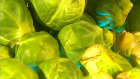 Pod pokličkou - Bez vápníku v těle nevede se skvěle