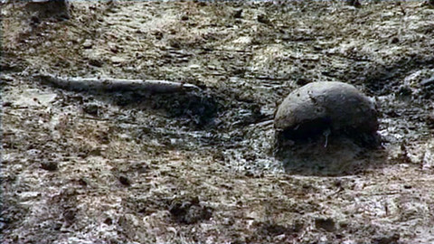 Intolerance - Kříž s vlastní minulostí