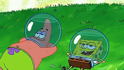 SpongeBob v kalhotách - Červík / Nová móda