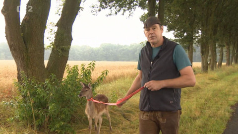 Dobrodružství vědy a techniky - Hajný Immo a jelínek Harry