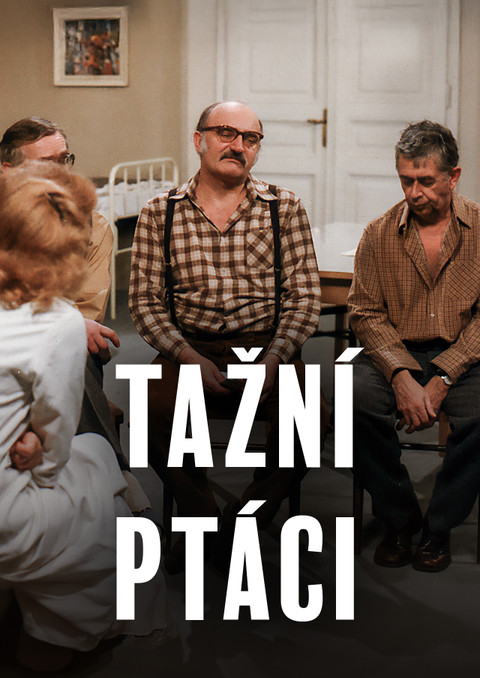 Tažní ptáci
