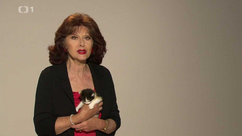 Kalendárium - 6. srpna 2023