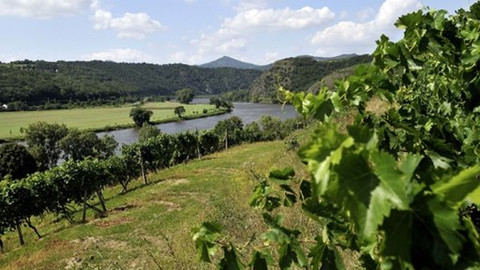 Kluci v akci - Žernosecká