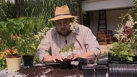 Zahrada je hra - 17. července 2006