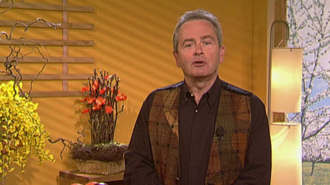 Z metropole - 13. prosince