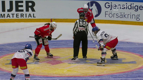 Euro Hockey Tour žen - Švýcarsko - Česko